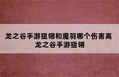 龙之谷手游狙翎和魔羽哪个伤害高 龙之谷手游狙翎